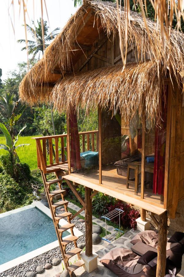 Bali Bamboo Jungle Huts And Hostel Tampaksiring Dış mekan fotoğraf