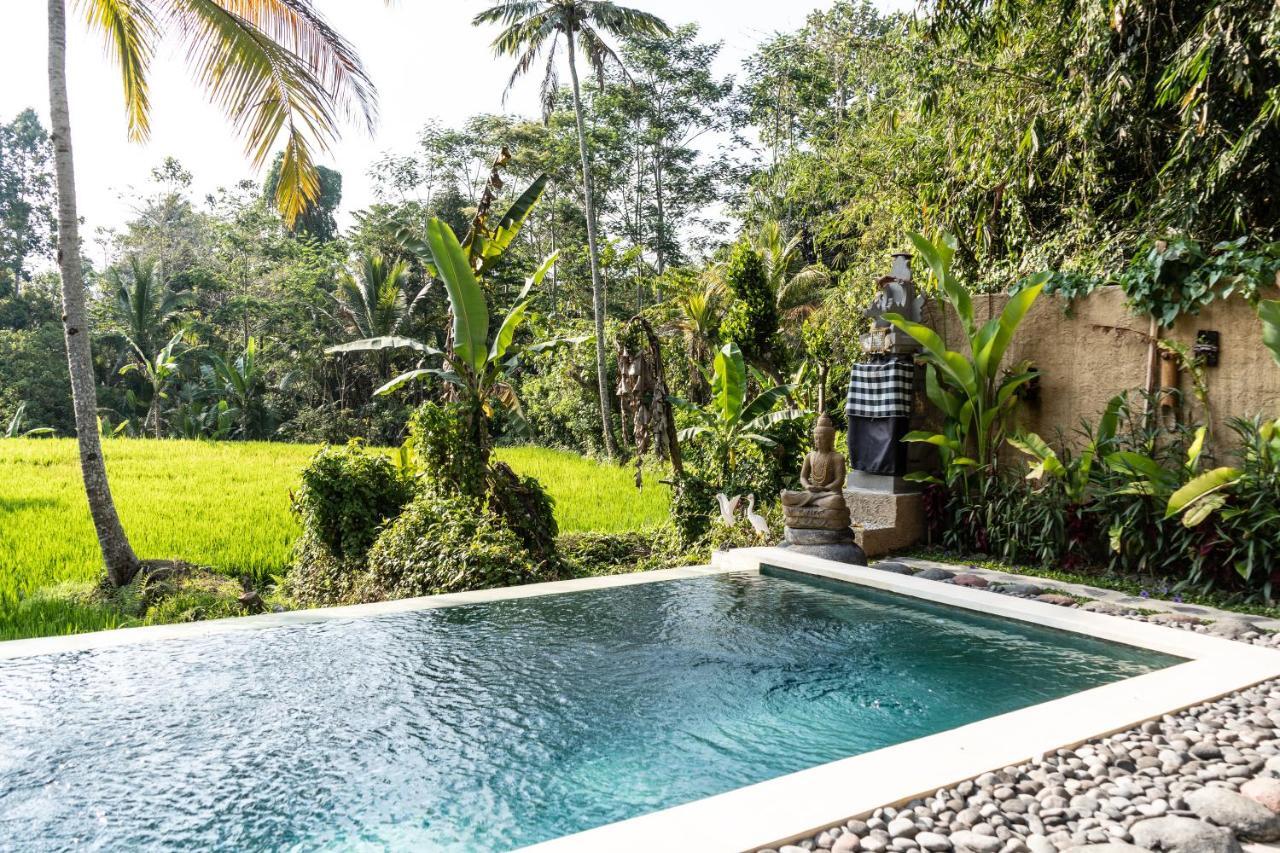 Bali Bamboo Jungle Huts And Hostel Tampaksiring Dış mekan fotoğraf