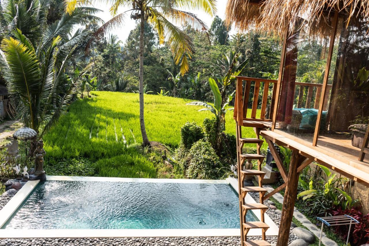 Bali Bamboo Jungle Huts And Hostel Tampaksiring Dış mekan fotoğraf