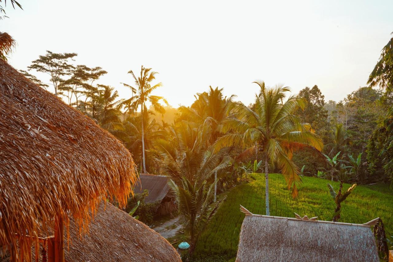 Bali Bamboo Jungle Huts And Hostel Tampaksiring Dış mekan fotoğraf