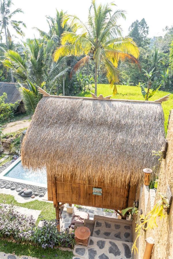 Bali Bamboo Jungle Huts And Hostel Tampaksiring Dış mekan fotoğraf