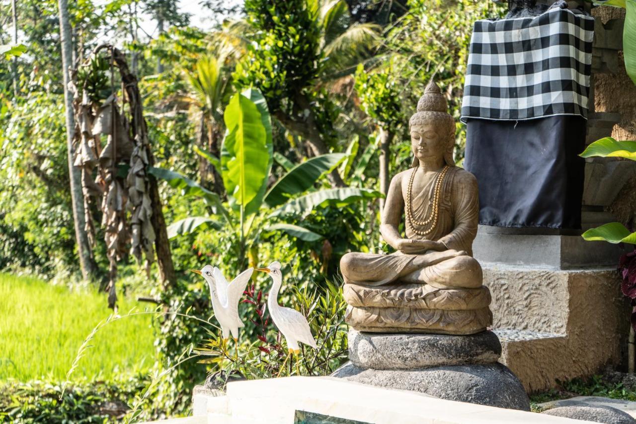 Bali Bamboo Jungle Huts And Hostel Tampaksiring Dış mekan fotoğraf