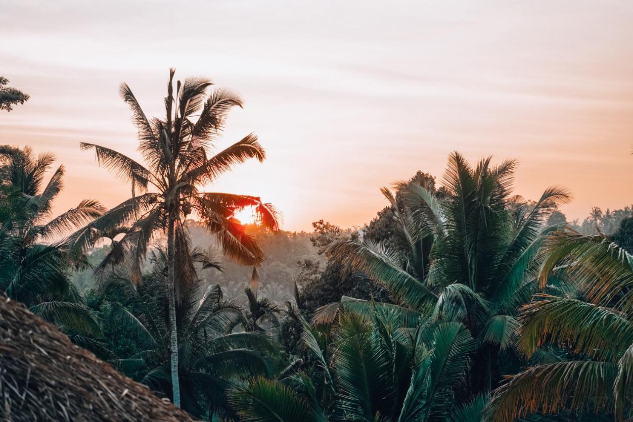 Bali Bamboo Jungle Huts And Hostel Tampaksiring Dış mekan fotoğraf